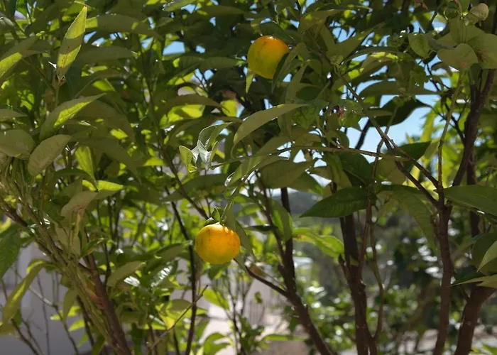 ヴィラ Casa Quadra Dique ファロ