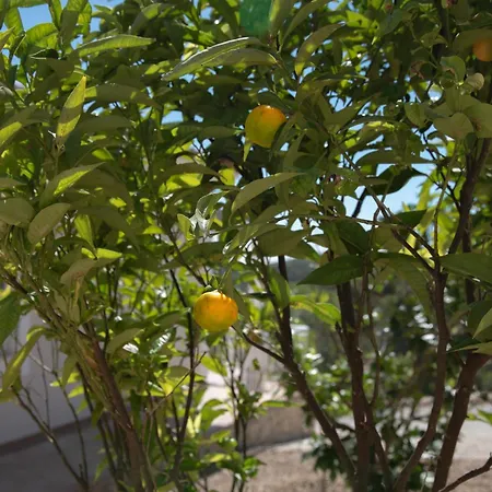 Villa Casa Quadra Dique Distrito de Faro